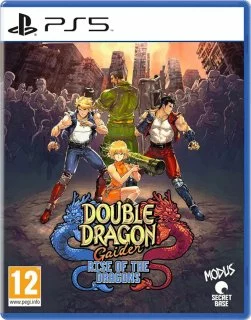Double Dragon Gaiden: Rise of the Dragons  PS5 (Английская версия)