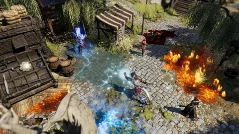 Divinity: Original Sin 2 - Definitive Edition (Электронное издание)